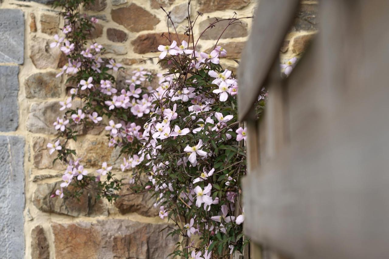 Gite Du Jardin Theux Extérieur photo