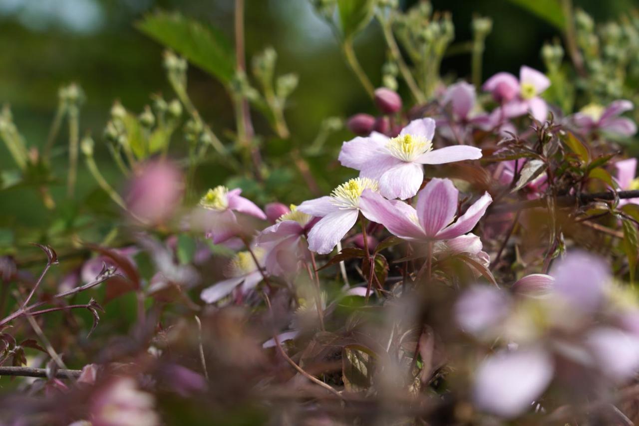 Gite Du Jardin Theux Extérieur photo